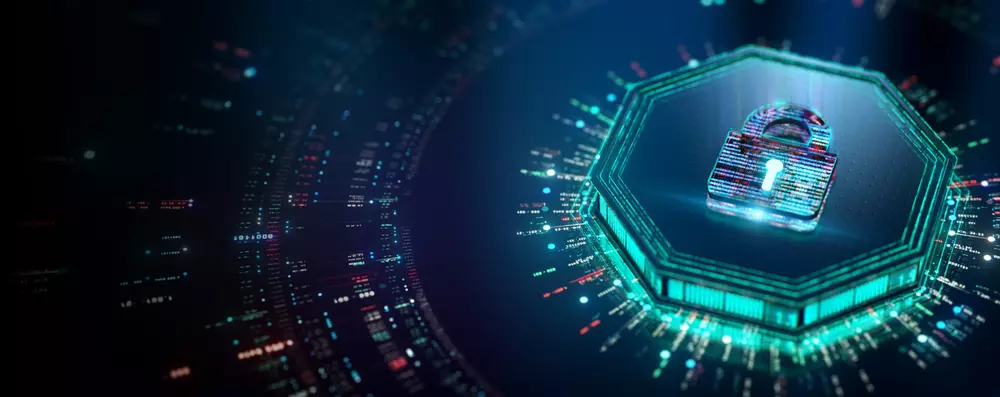 Navigating the Transition: IPv4 vs IPv6 for Government Agencies